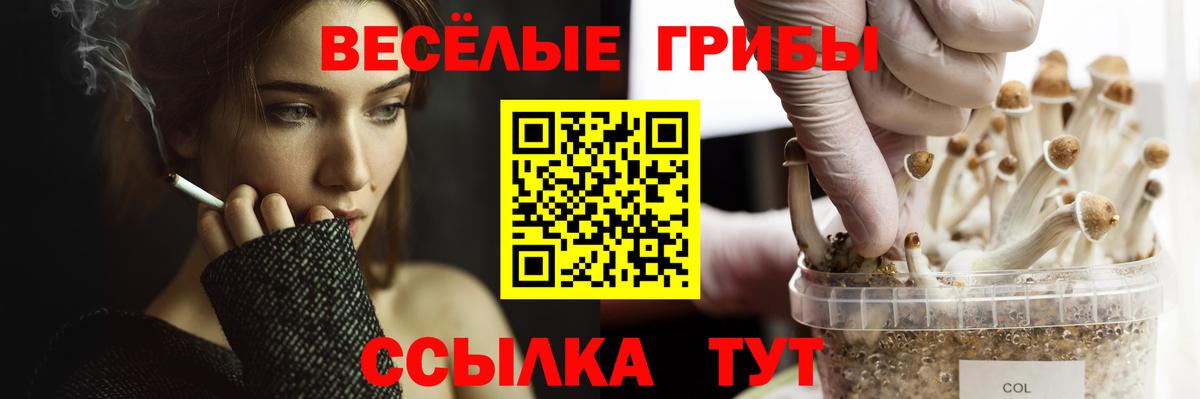 Псилоцибиновые грибы Psilocybine cubensis  Вход с VPN  Галлюциногенные грибы прущие грибы  Нижнекамск 